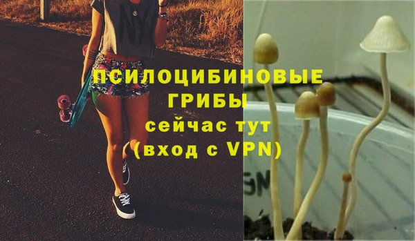 кристаллы Инта