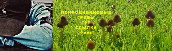 MESCALINE Инсар