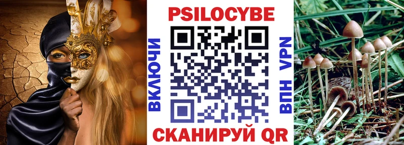 Купить  Ейск  Псилоцибиновые грибы Psilocybe 